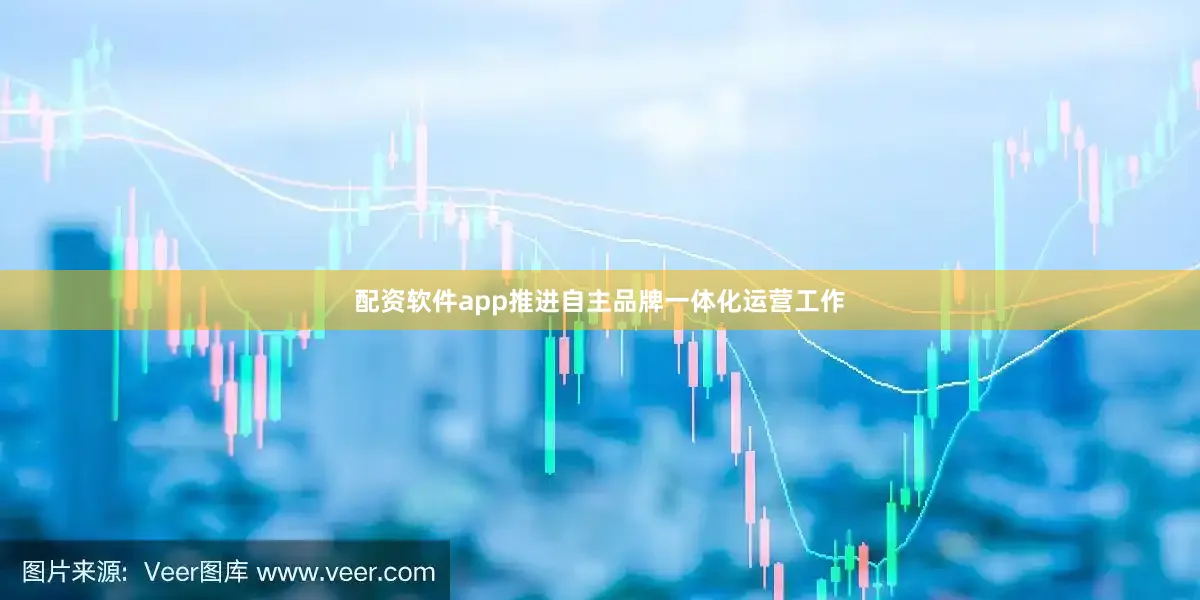 配资软件app推进自主品牌一体化运营工作
