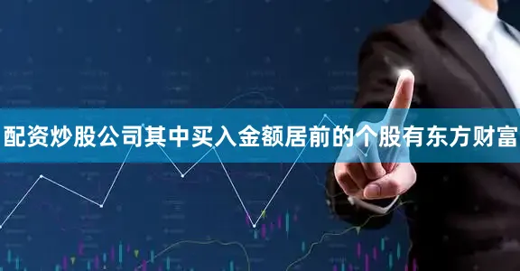 配资炒股公司其中买入金额居前的个股有东方财富