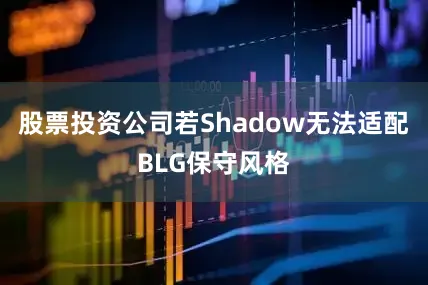 股票投资公司若Shadow无法适配BLG保守风格