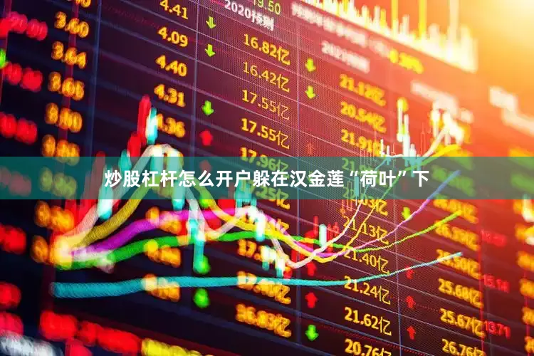 炒股杠杆怎么开户躲在汉金莲“荷叶”下