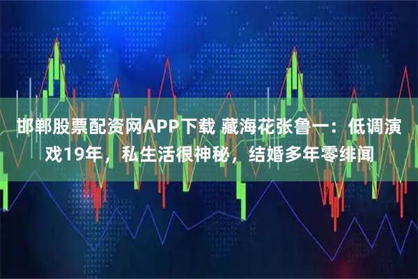 邯郸股票配资网APP下载 藏海花张鲁一：低调演戏19年，私生活很神秘，结婚多年零绯闻