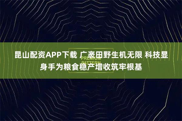 昆山配资APP下载 广袤田野生机无限 科技显身手为粮食稳产增收筑牢根基