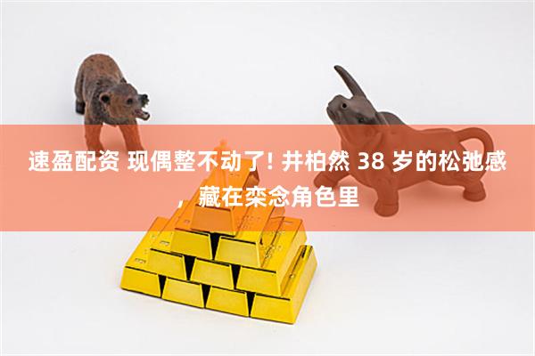 速盈配资 现偶整不动了! 井柏然 38 岁的松弛感，藏在栾念角色里